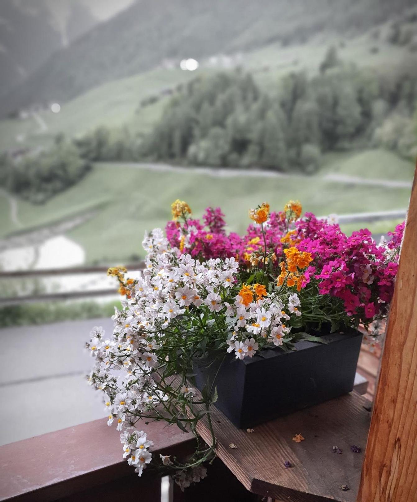 Wascherhof - Ferienwohnungen Oberhofer Martello Esterno foto